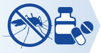 ROI Malaria Prophylaxis