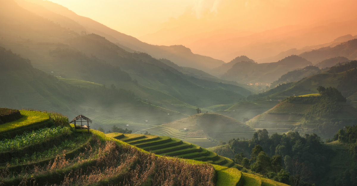 Le lever du soleil crée une lumière naturelle incomparable pour vos photos.