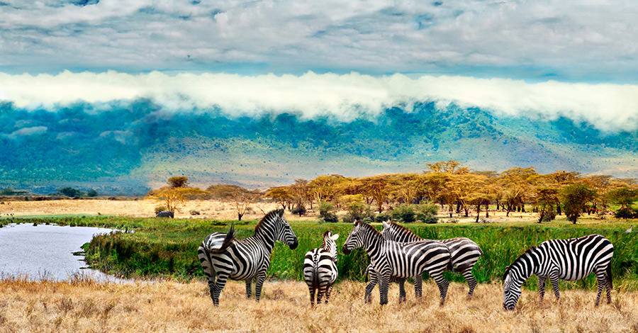 Uganda ofrece safaris, vida silvestre y mucho más a los viajeros. Asegúrate de explorarlos de forma segura con las vacunas de viaje y los consejos de Passport Health.