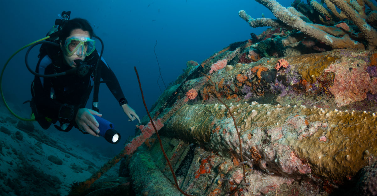 Divers in Bonaire visit a sunken ship.