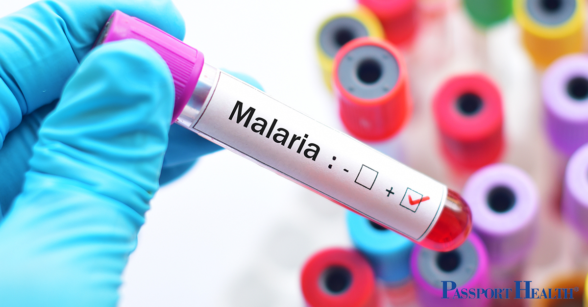 Malaria: qué es y dónde se encuentra presente | Passport Health
