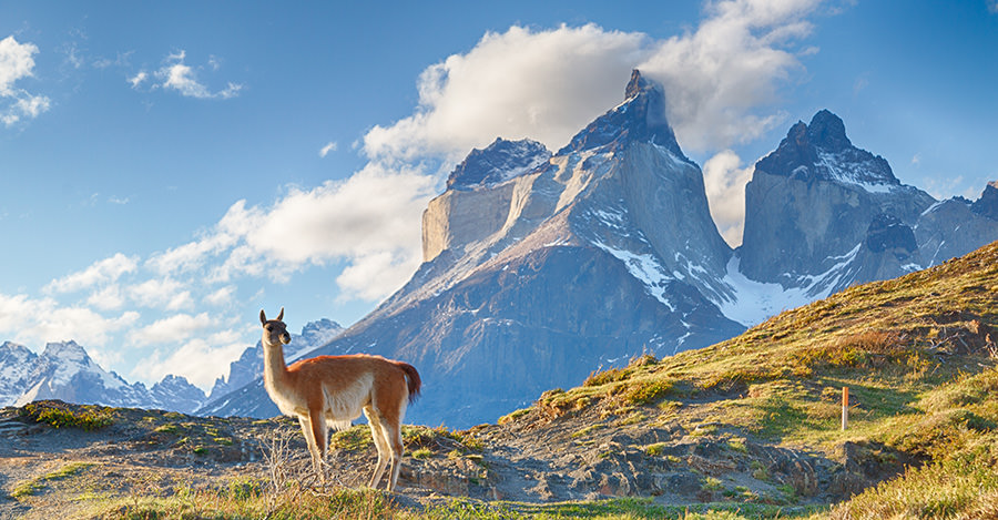 Sur la côte d’Amérique du Sud, le Chili est une destination fantastique. Assurez-vous de bien vous préparer à votre voyage grâce aux vaccins et aux conseils de voyage de Passport Health.
