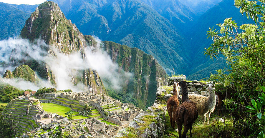 Vaccins Et Conseils Pour Un Voyage Au Perou Passport Health