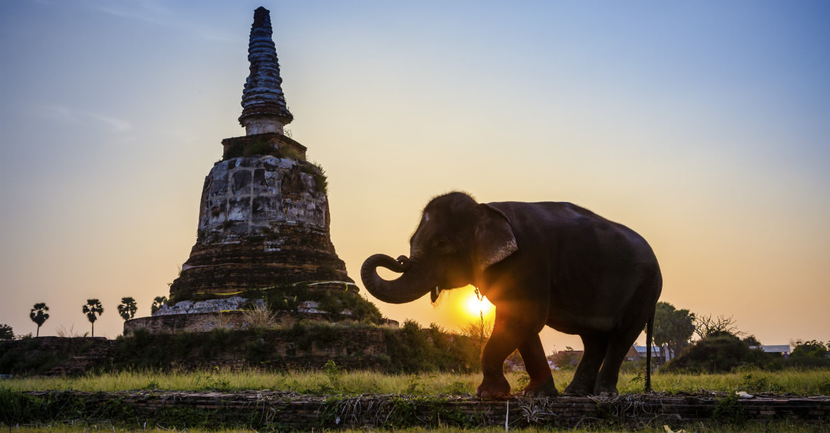 La Thaïlande est merveilleuse, mais requiert quelques précautions pour la visiter en santé.
