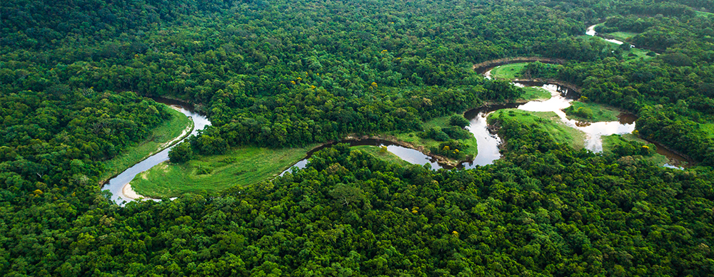 ¡Conoce el Amazonas! | Passport Health