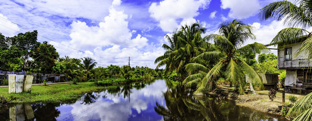 Travel safely to Suriname with Passport Health's travel vaccinations and advice.