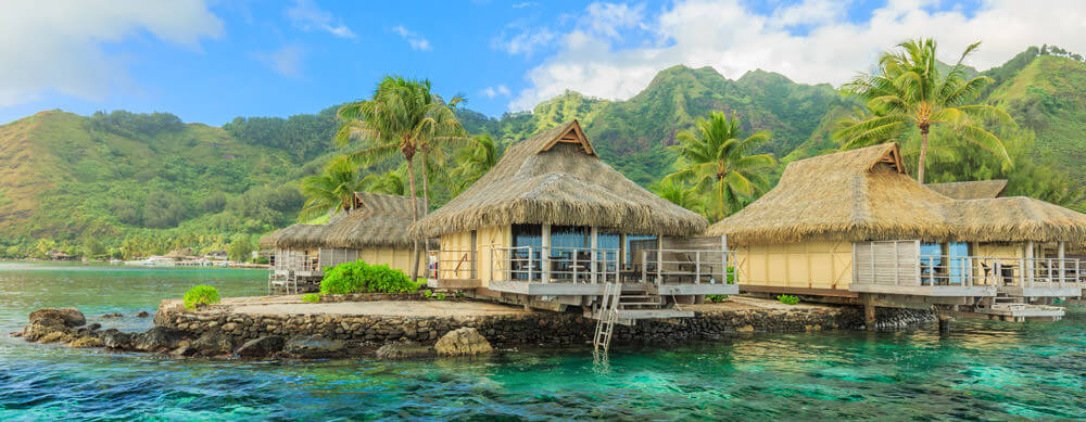 Passport Health provides key travel immunizations for your trip.