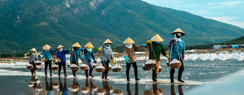 Travel safely to Vietnam with Passport Health's travel vaccinations and advice.